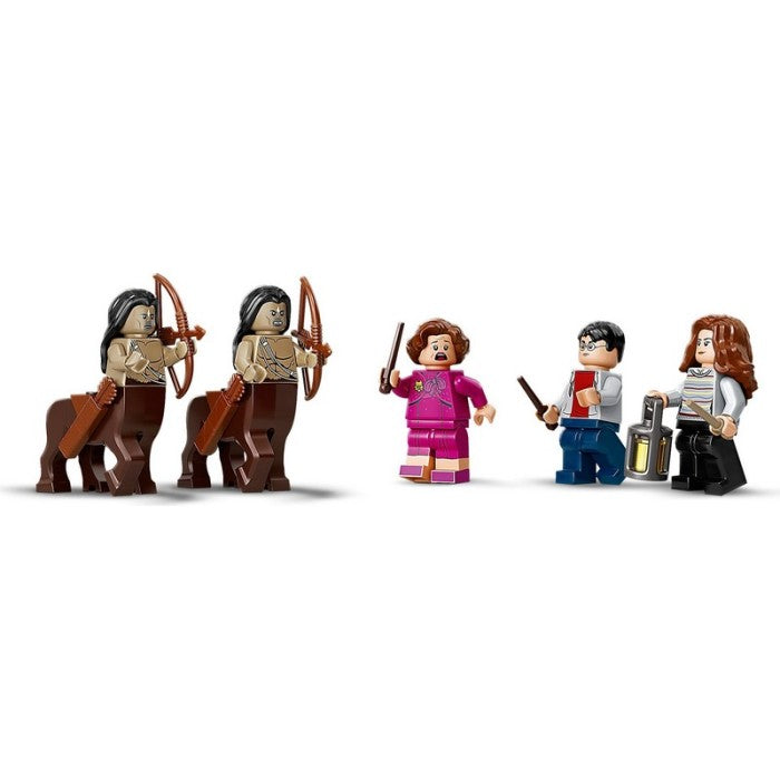 LEGO 75967 - Harry Porter - Forbidden Forest: Umbridge's Encounter