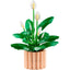 LEGO 11504 - Icons - Peace Lily