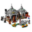LEGO 75947 - Harry Porter - Hagrid's Hut: Buckbeak's Rescue