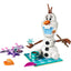 LEGO 43287 - Disney - Olaf and Bruni's Picnic Fun