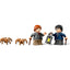 LEGO 76434 - Harry Potter - Aragog in the Forbidden Forest