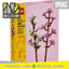 LEGO 40725 - Icons - Cherry Blossoms