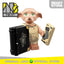 LEGO 71022 - 10 - Minifigure Wizarding World of Harry Potter Series 1 Dobby