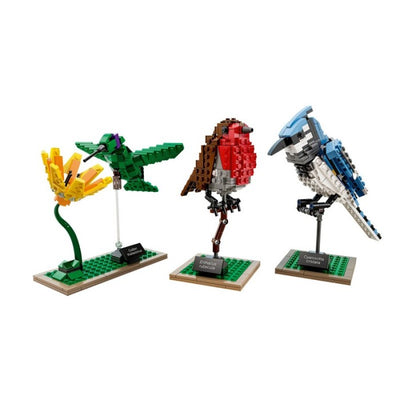 LEGO 21301 - CUUSO / Ideas - Birds
