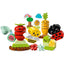 LEGO 10984 - Duplo - Organic Garden
