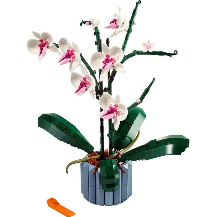 LEGO 10311 - Creator Expert / Exclusive - Orchid
